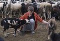 Boy and a goat Royalty Free Stock Photo