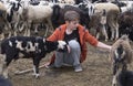 Boy and a goat Royalty Free Stock Photo
