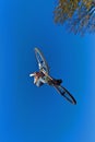 Boy going airborne with a dirt bike Royalty Free Stock Photo