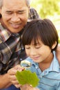 Boy and grandfather examining leaf