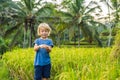 Boy on Green cascade rice field plantation at Tegalalang terrace. Bali, Indonesia Traveling with children concept Royalty Free Stock Photo