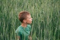 Boy 8-10 in green T-shirt sitting in green wheat field among spikelets and looking into distance Royalty Free Stock Photo