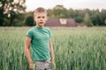 Boy 8-10 in green T-shirt stands in green wheat field among spikelets looking into frame Royalty Free Stock Photo