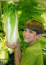 Boy in Grocery Store Royalty Free Stock Photo