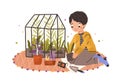 Boy growing green plants in pots and care about kitchen-garden. Happy smiling child and his greenhouse. Kid farmer at Royalty Free Stock Photo