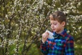 A boy with a handkerchief escapes from a spring Allergy . Royalty Free Stock Photo