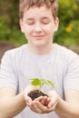 Boy hands holding young plant