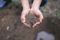 The boy has planted a young tree into the soil. Earth day. Male hands holding the earth. Royalty Free Stock Photo