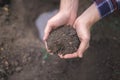 The boy has planted a young tree into the soil. Earth day. Male hands holding the earth. Royalty Free Stock Photo