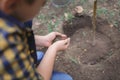 The boy has planted a young tree into the soil. Earth day. Male hands holding the earth. Royalty Free Stock Photo