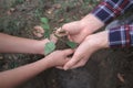 The boy has planted a young tree into the soil. Earth day. Male hands holding the earth. Royalty Free Stock Photo