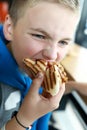 Boy has Hot Dog in restaurant Royalty Free Stock Photo