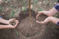 The boy has planted a young tree into the soil. Earth day. Male hands holding the earth. Royalty Free Stock Photo
