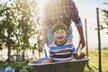 Boy have fun while driving on wheelbarrows Royalty Free Stock Photo