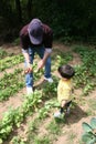 Boy Helping Grandpa In The Garden Royalty Free Stock Photo
