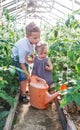 The boy helps the little sister to water green plants in a garden Royalty Free Stock Photo