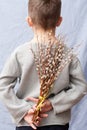 boy hiding bouquet of spring flowers behind his back. Blue background, child standing with his back to camera, holding branches of Royalty Free Stock Photo