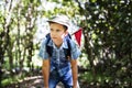 Boy hiking through a forest Royalty Free Stock Photo