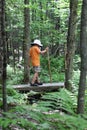 Boy hiking over small bridge Royalty Free Stock Photo