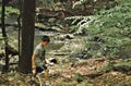 Boy Hiking on Park Trail in the Park Enjoying Nature Great Outdoor Travel Royalty Free Stock Photo