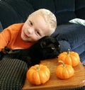 A boy, his cat and pumpkins Royalty Free Stock Photo
