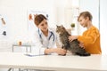 Boy with his cat visiting veterinarian Royalty Free Stock Photo