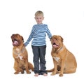 Boy with his dogs Royalty Free Stock Photo