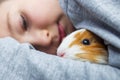 A boy with his guinea pig. A boy hugs a guinea pig. A child plays with the pet at home. Pet care Royalty Free Stock Photo