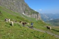 Boy on his mountain bike going down the path from Jochpass Royalty Free Stock Photo