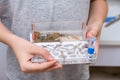 A boy holding an acrillic ant farm, formicarium in hands, research model of ant colony