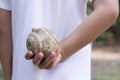 Boy holding a baseball ready to pitch Royalty Free Stock Photo