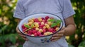boy holding a bowl of freshly picked raspberries. Selective focus Royalty Free Stock Photo