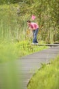 Boy Holding Butterfly Net In Forest Royalty Free Stock Photo