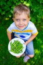 Boy holding a green Peas Royalty Free Stock Photo
