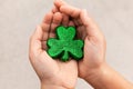 Boy holding a green sparkly clover in hands at Saint Patricks Day