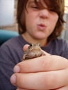 Boy holding out toad Royalty Free Stock Photo
