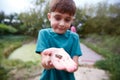 Boy Holding Small Frog As Group Of Children On Outdoor Activity Camp Catch And Study Pond Life Royalty Free Stock Photo