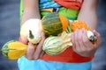 A boy holding a small squashes, gourds and pumpkins in his hands