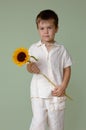 Boy holding sunflower