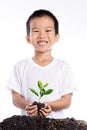 Boy holding young plant in hands above soil Royalty Free Stock Photo