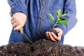 Boy holding young plant in hands above soil Royalty Free Stock Photo