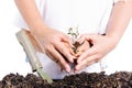 Boy holding young plant in hands above soil Royalty Free Stock Photo