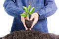 Boy holding young plant in hands above soil Royalty Free Stock Photo