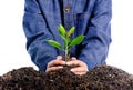 Boy holding young plant in hands above soil Royalty Free Stock Photo