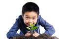 Boy holding young plant in hands above soil Royalty Free Stock Photo