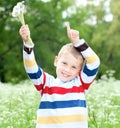 Boy holds a dandelions in hands Royalty Free Stock Photo