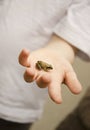 A boy holds a frog