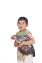 Boy holds hen. Royalty Free Stock Photo