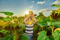 A boy holds a jar of honey in his hands above his head in a field among sunflowers against the background of the evening sky Royalty Free Stock Photo