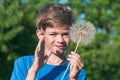 A boy holds a large dandelion in his hands Royalty Free Stock Photo